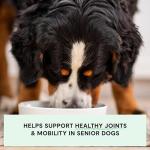 Open Farm Grain-Free Dry Dog Food for Seniors