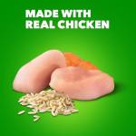 IAMS Healthy Aging Wet Dog Food, Chicken & Rice