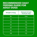 IAMS Healthy Aging Wet Dog Food, Chicken & Rice