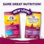 Wellness Complete Health Senior Small Breed Dog Food