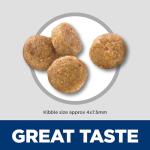 Hill's Science Diet Senior Dry Dog Food, Chicken