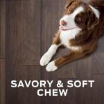 Purina Pro Plan Digestive Health Dog Treats