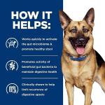 Hill's Prescription Diet Gastrointestinal Dog Food, 27.5 lb