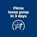 Hill's Prescription Diet z/d Skin Sensitivities Dog Food