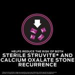 Purina Pro Plan UR Urinary Dog Food Kibble