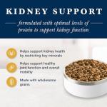 Blue Buffalo Kidney Support Dry Dog Food, Chicken
