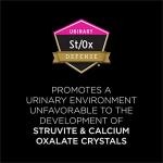 Purina Pro Plan UR Urinary Salmon Recipe Canned Food