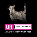 Purina Pro Plan UR Urinary Salmon Recipe Canned Food
