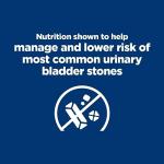 Hill's Prescription Diet c/d Urinary Care Dog Food