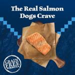 Blue Buffalo Wilderness Grain-Free Salmon Dog Food