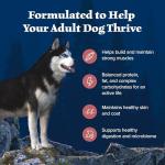 Blue Buffalo Wilderness Grain-Free Salmon Dog Food