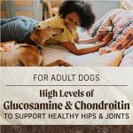 Merrick Grain-Free Salmon and Sweet Potato Dog Food