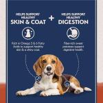 Natural Balance Salmon & Sweet Potato Dog Food