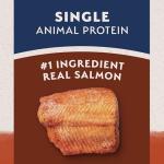 Natural Balance Salmon & Sweet Potato Dog Food