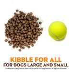 Grain Free Salmon & Sweet Potato Dog Food