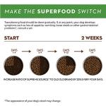 Grain Free Salmon & Sweet Potato Dog Food