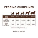 Grain-Free Natural Dog Food with Real Lamb