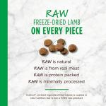 Instinct Grain-Free Dry Dog Food with Real Lamb