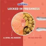 Freeze-Dried Salmon Treats for Dogs and Cats
