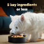 Cesar Simply Crafted Wet Dog Food Meal Toppers
