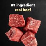 Cesar Simply Crafted Wet Dog Food Meal Toppers