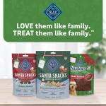 Blue Buffalo Santa Snacks Oatmeal Cinnamon Dog Biscuits