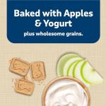 Blue Buffalo Crunchy Dog Biscuits with Apples & Yogurt