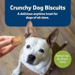 Blue Buffalo Crunchy Dog Biscuits with Apples & Yogurt