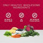 Blue Buffalo Natural Crunchy Dog Treats - Beef