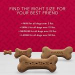 Blue Buffalo Natural Crunchy Dog Treats - Beef