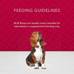 Blue Buffalo Natural Crunchy Dog Treats - Beef