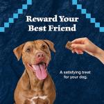 Blue Buffalo Wilderness High-Protein Turkey Dog Treats