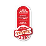 Nylabone Power Chew Bone Toy for Aggressive Dogs