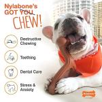 Nylabone Power Chew Toys for Aggressive Dogs