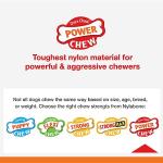 Nylabone Power Chew Toys for Aggressive Dogs