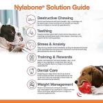 Nylabone Power Chew Toys for Aggressive Dogs