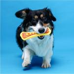 Hartz Chew 'n Clean Dental Dog Treats & Toy