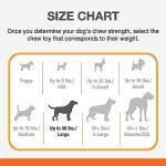 Nylabone Power Chew Ring Bone Toy - Large