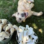 Nylabone Power Chew Chicken Flavor Dog Toy