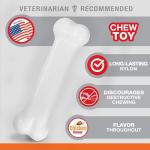 Nylabone Power Chew Chicken Flavor Dog Toy