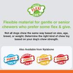 Nylabone Flexi Chew Toy, Chicken & Bacon Flavor