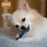 Nylabone Flexi Chew Toy, Chicken & Bacon Flavor