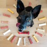 Nylabone Chew Toys for Aggressive Chewers, 3 Pack