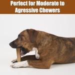 Durable Chicken Flavor T-Bone Dog Chew Toy