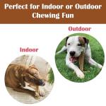 Durable Chicken Flavor T-Bone Dog Chew Toy