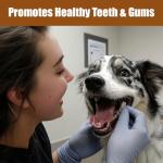 Bam-Bones T-Bone Chew for Aggressive Dogs