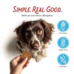 Turkey & Sweet Potato Premium Jerky Treats for Dogs