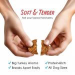 Turkey & Sweet Potato Premium Jerky Treats for Dogs