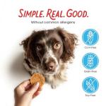 Chicken Jerky Dog Treats with 3 Ingredients