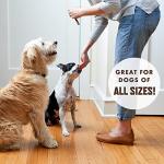 Rocco & Roxie Chicken Jerky Dog Treats